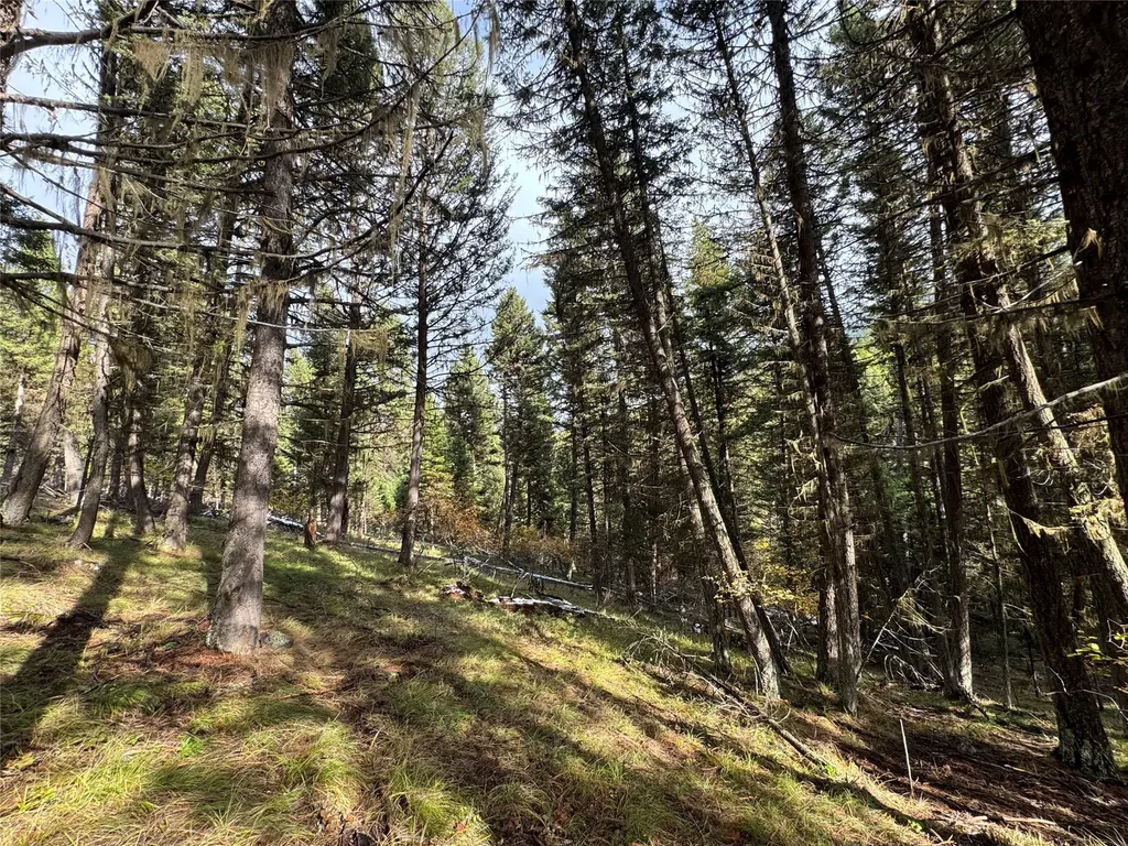 250 Summit Drive Seeley Lake MT 59868