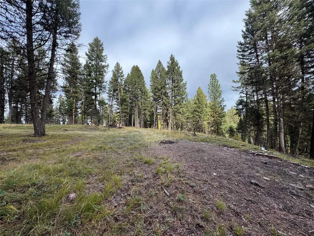 250 Summit Drive Seeley Lake MT 59868