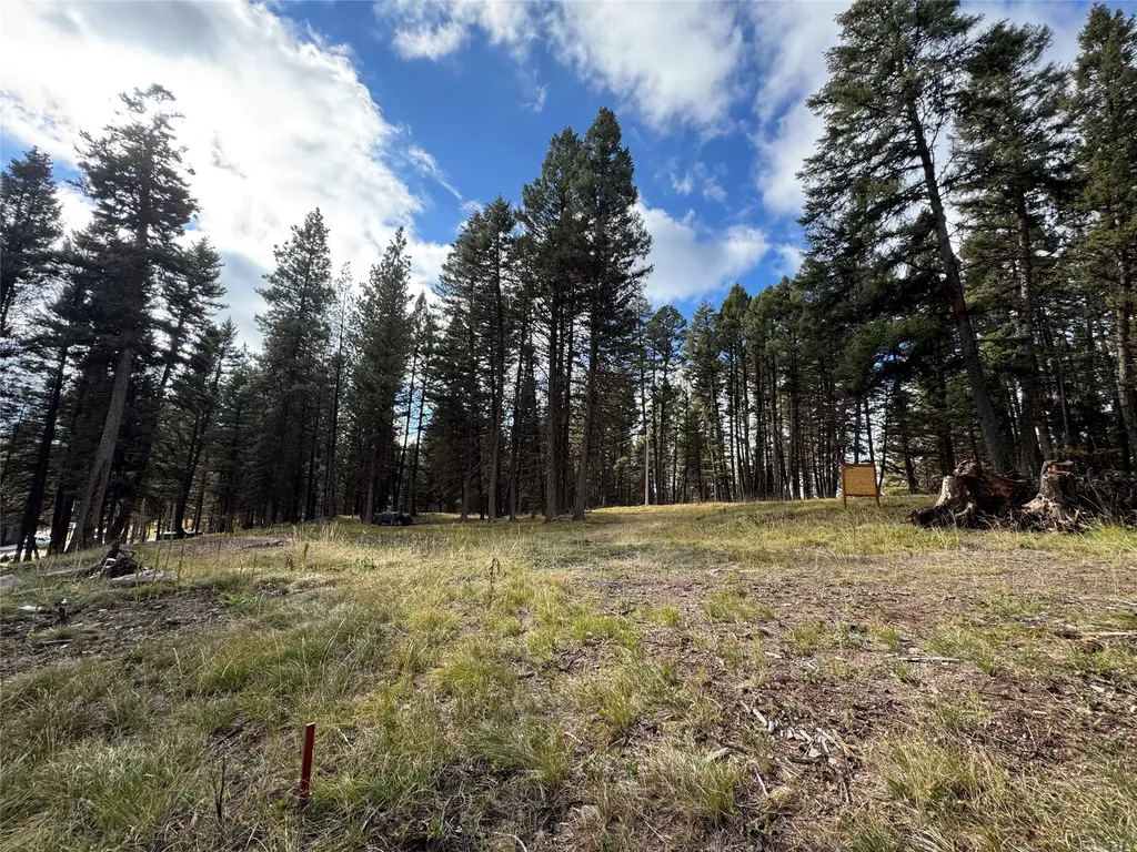 250 Summit Drive Seeley Lake MT 59868