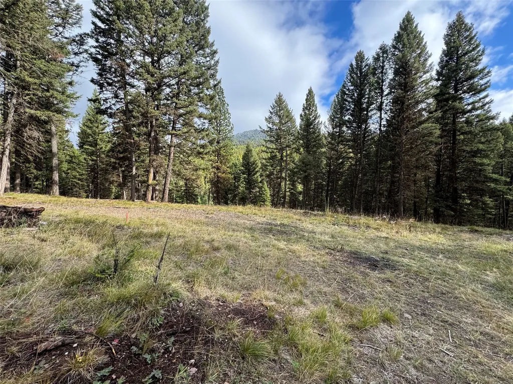 250 Summit Drive Seeley Lake MT 59868