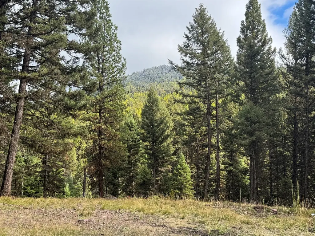 250 Summit Drive Seeley Lake MT 59868
