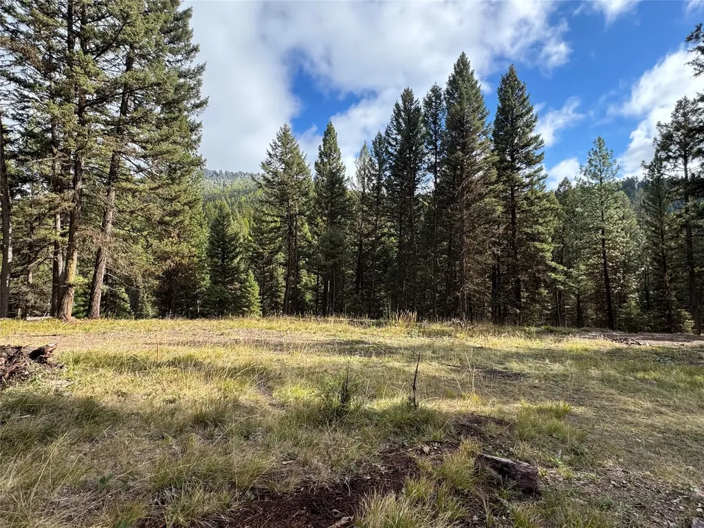 250 Summit Drive Seeley Lake MT 59868
