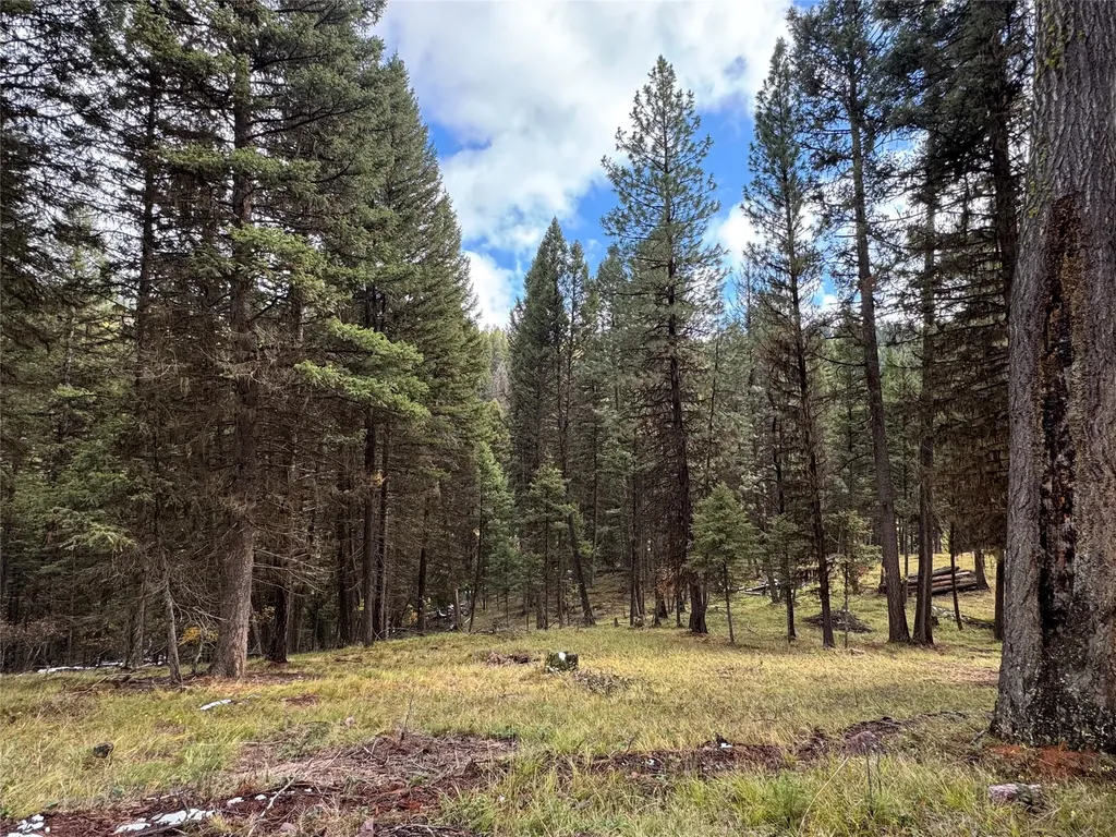 250 Summit Drive Seeley Lake MT 59868