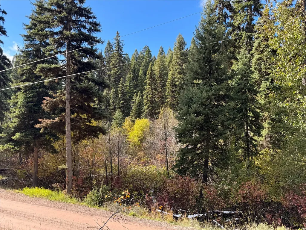 250 Summit Drive Seeley Lake MT 59868