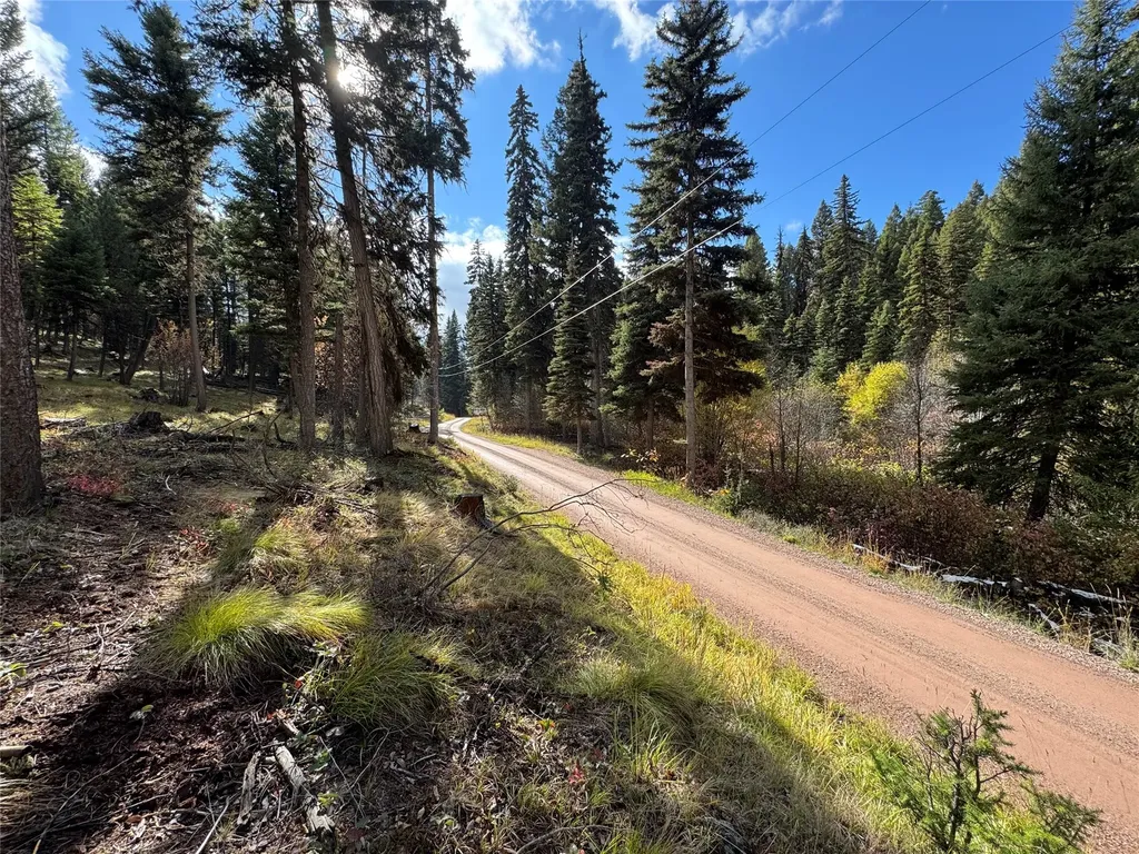 250 Summit Drive Seeley Lake MT 59868