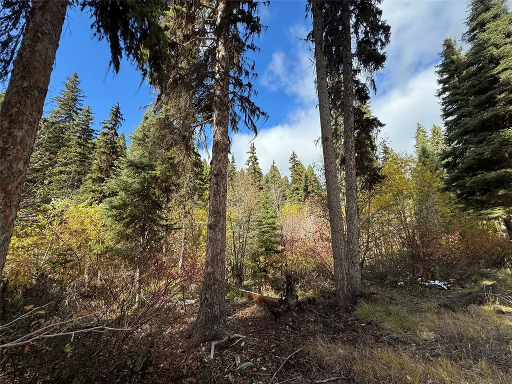 250 Summit Drive Seeley Lake MT 59868