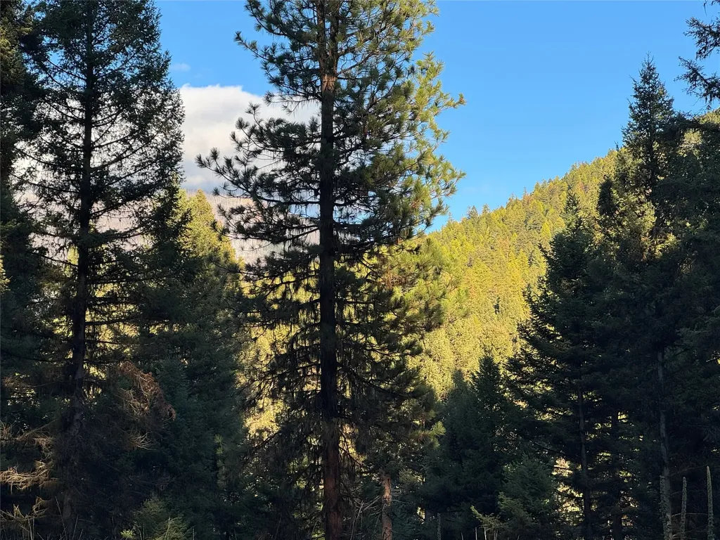 250 Summit Drive Seeley Lake MT 59868