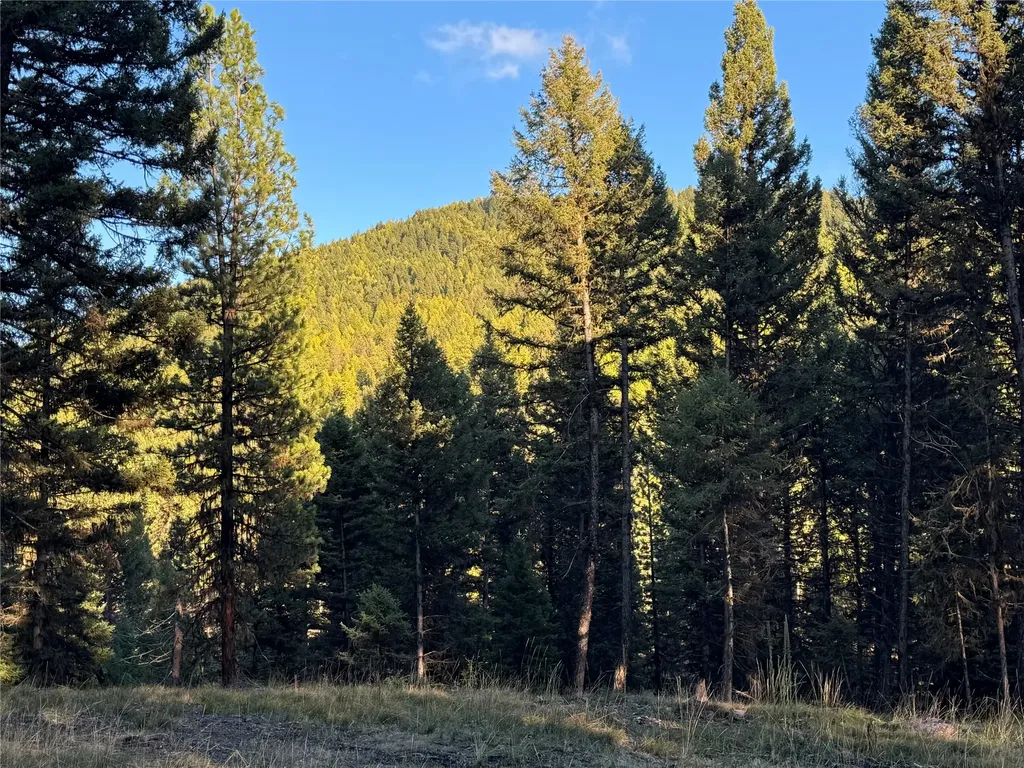 250 Summit Drive Seeley Lake MT 59868