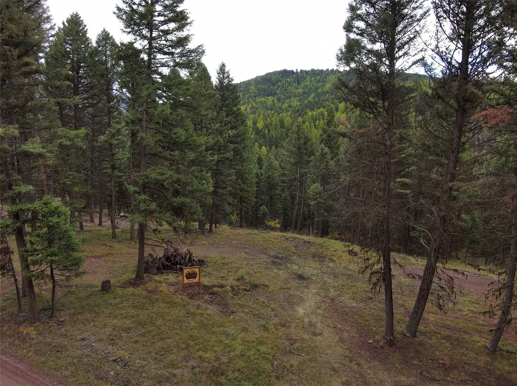 250 Summit Drive Seeley Lake MT 59868