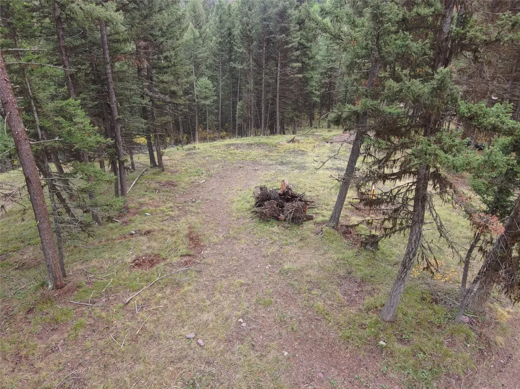 250 Summit Drive Seeley Lake MT 59868