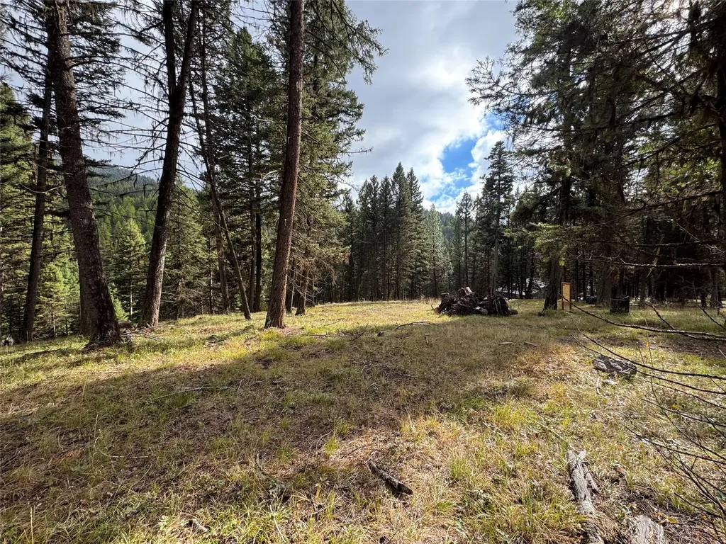 250 Summit Drive Seeley Lake MT 59868