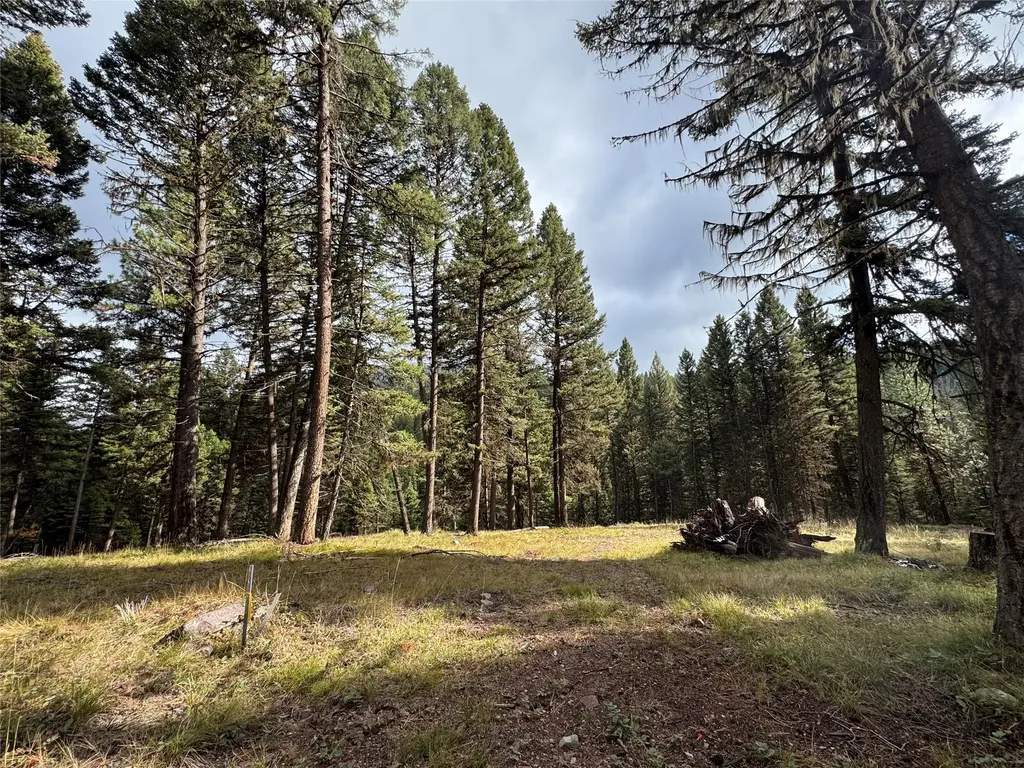 250 Summit Drive Seeley Lake MT 59868