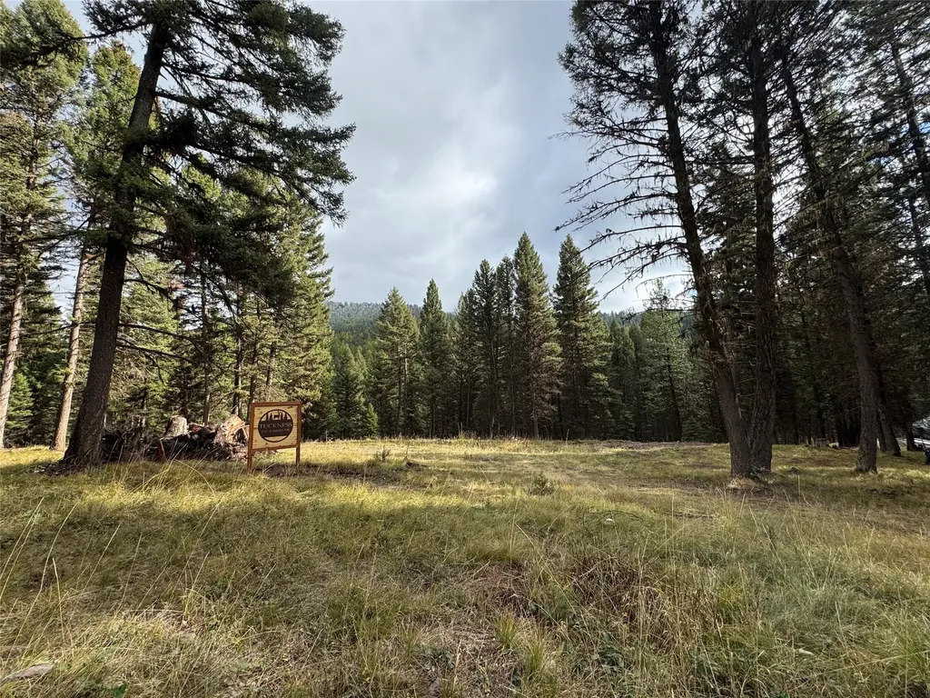 250 Summit Drive Seeley Lake MT 59868