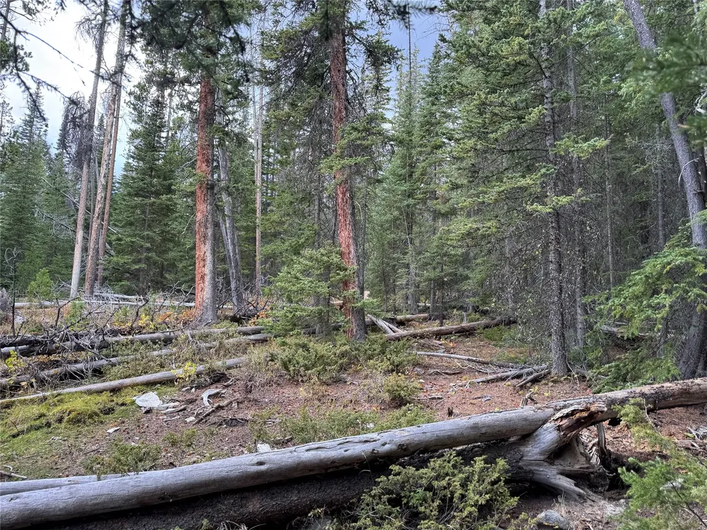 Tbd Dark Horse Mining Claim Deer Lodge MT 59722