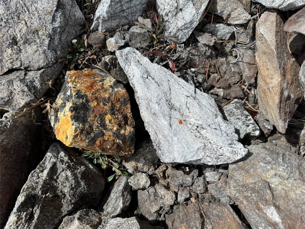 Tbd Dark Horse Mining Claim Deer Lodge MT 59722