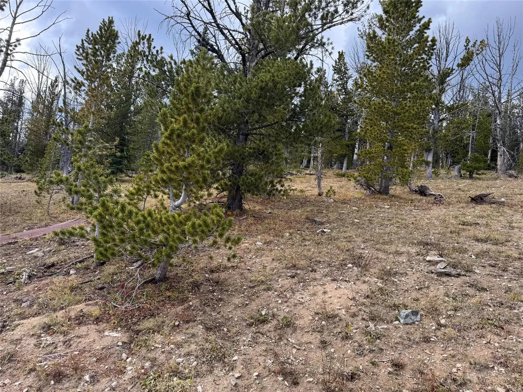 Tbd Dark Horse Mining Claim Deer Lodge MT 59722