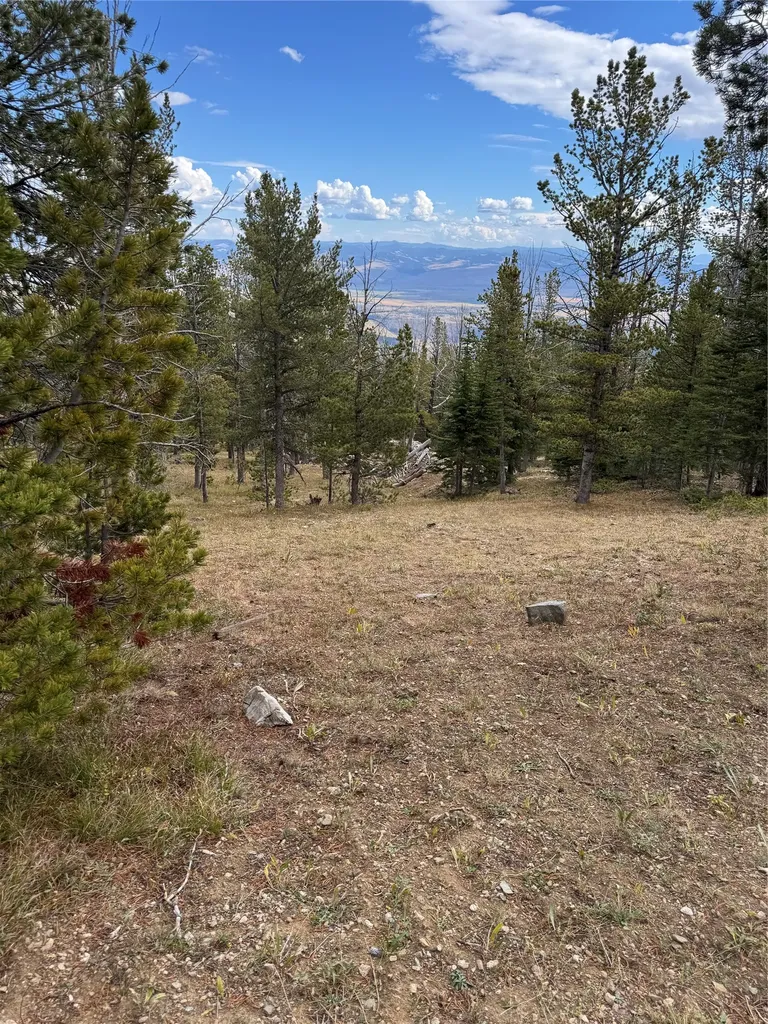 Tbd Dark Horse Mining Claim Deer Lodge MT 59722