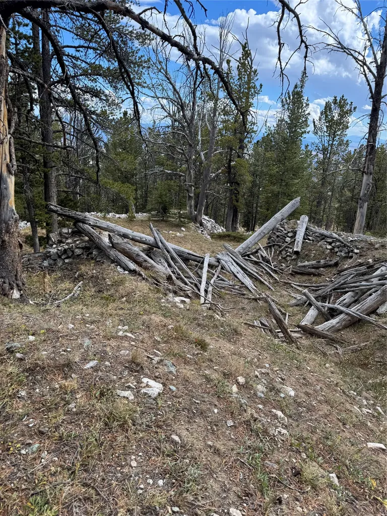 Tbd Dark Horse Mining Claim Deer Lodge MT 59722