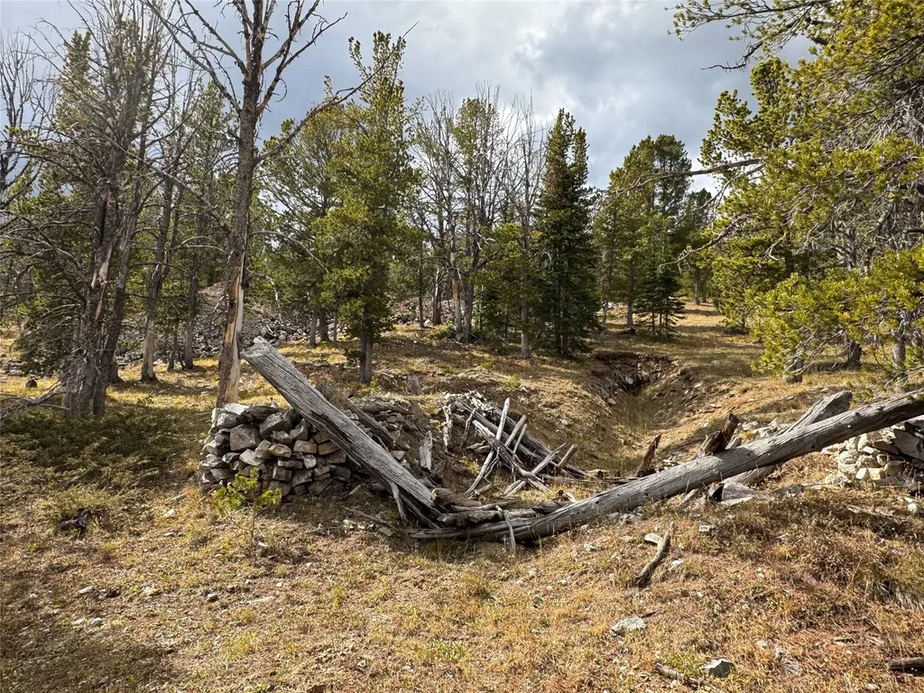 Tbd Dark Horse Mining Claim Deer Lodge MT 59722