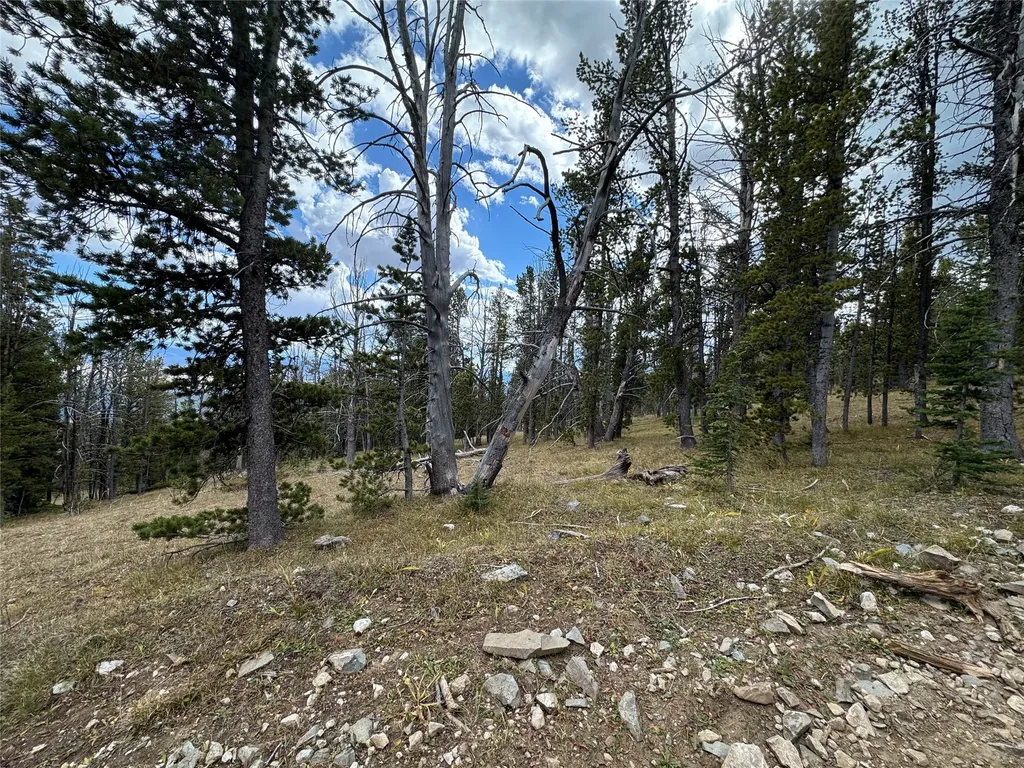 Tbd Dark Horse Mining Claim Deer Lodge MT 59722