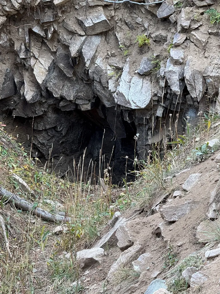 Tbd Dark Horse Mining Claim Deer Lodge MT 59722