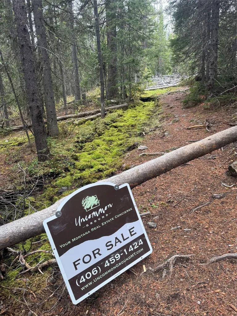 Tbd Dark Horse Mining Claim Deer Lodge MT 59722