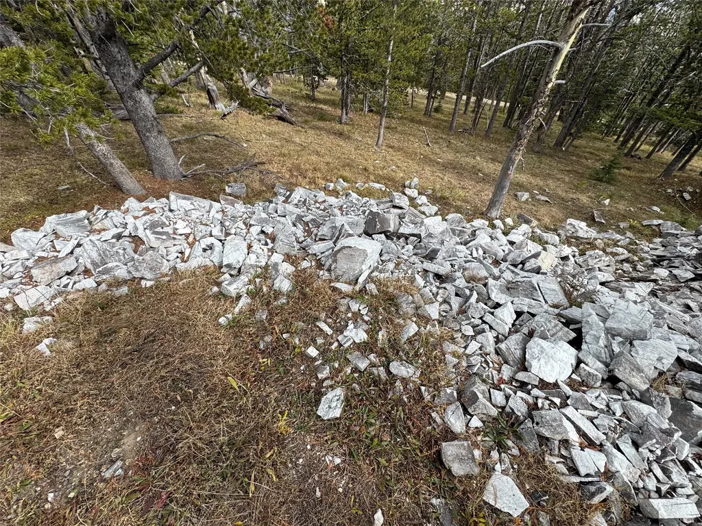Tbd Dark Horse Mining Claim Deer Lodge MT 59722