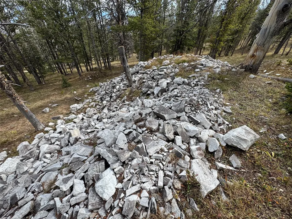 Tbd Dark Horse Mining Claim Deer Lodge MT 59722