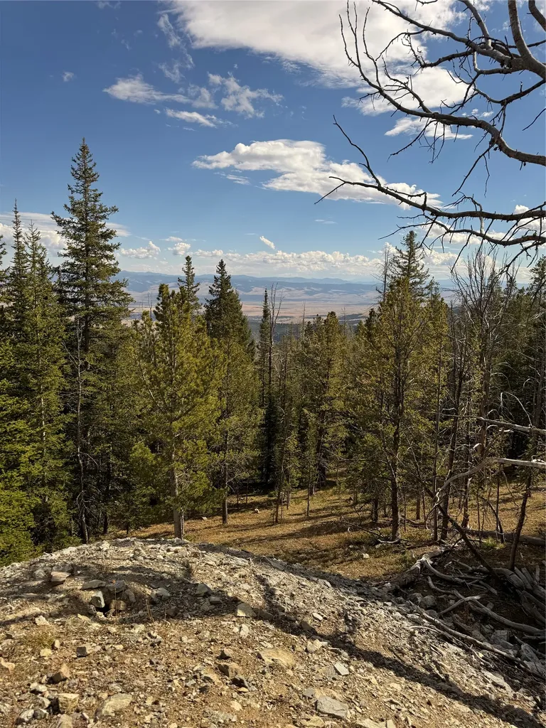 Tbd Dark Horse Mining Claim Deer Lodge MT 59722