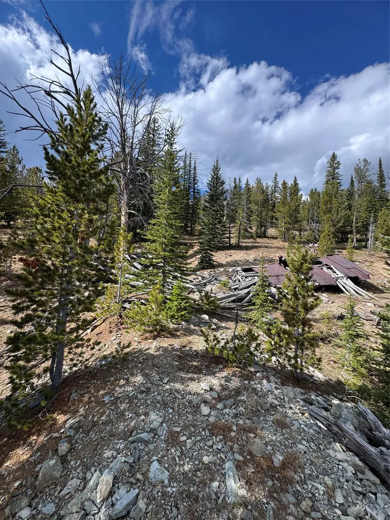 Tbd Dark Horse Mining Claim Deer Lodge MT 59722