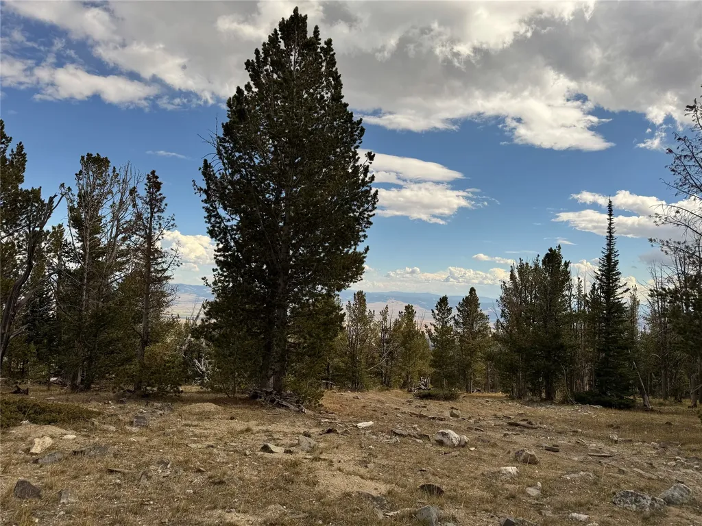 Tbd Dark Horse Mining Claim Deer Lodge MT 59722
