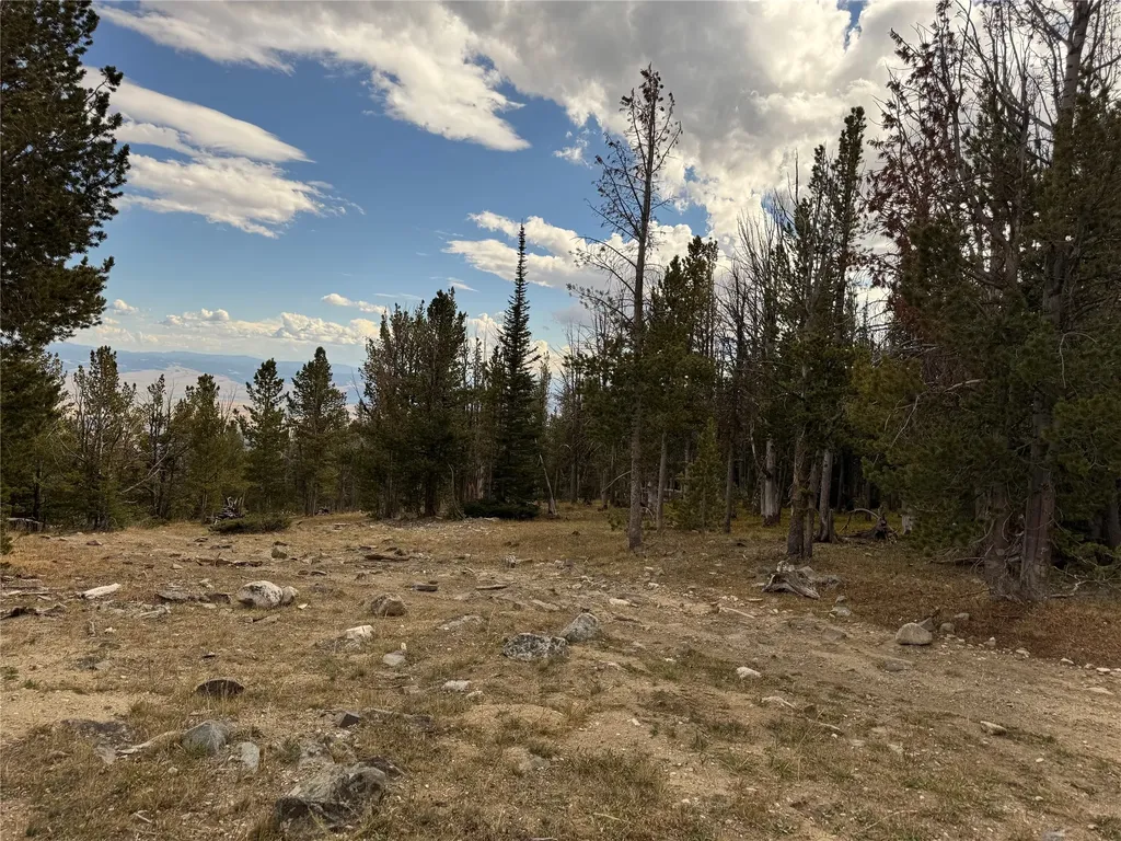 Tbd Dark Horse Mining Claim Deer Lodge MT 59722