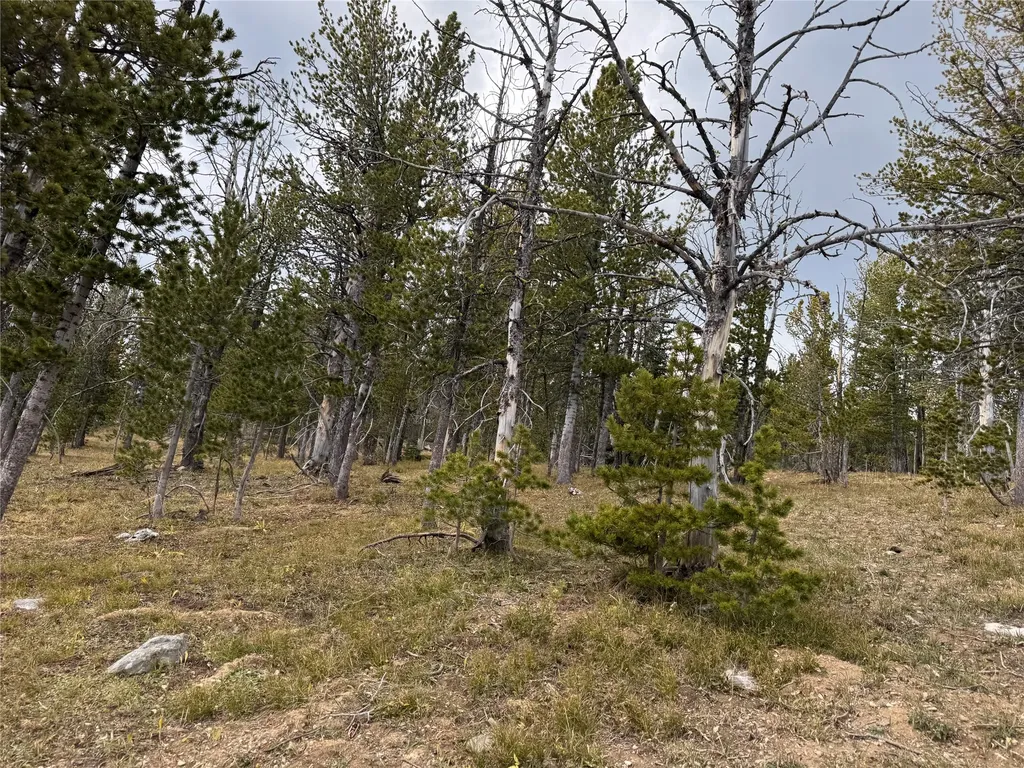 Tbd Dark Horse Mining Claim Deer Lodge MT 59722