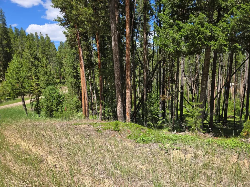 Lot 39 Shakopee Drive Anaconda MT 59711