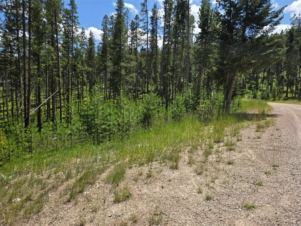 Lot 39 Shakopee Drive Anaconda MT 59711