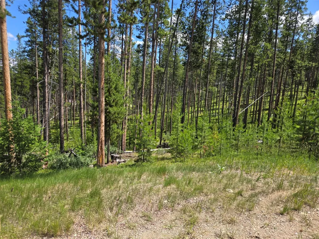 Lot 39 Shakopee Drive Anaconda MT 59711