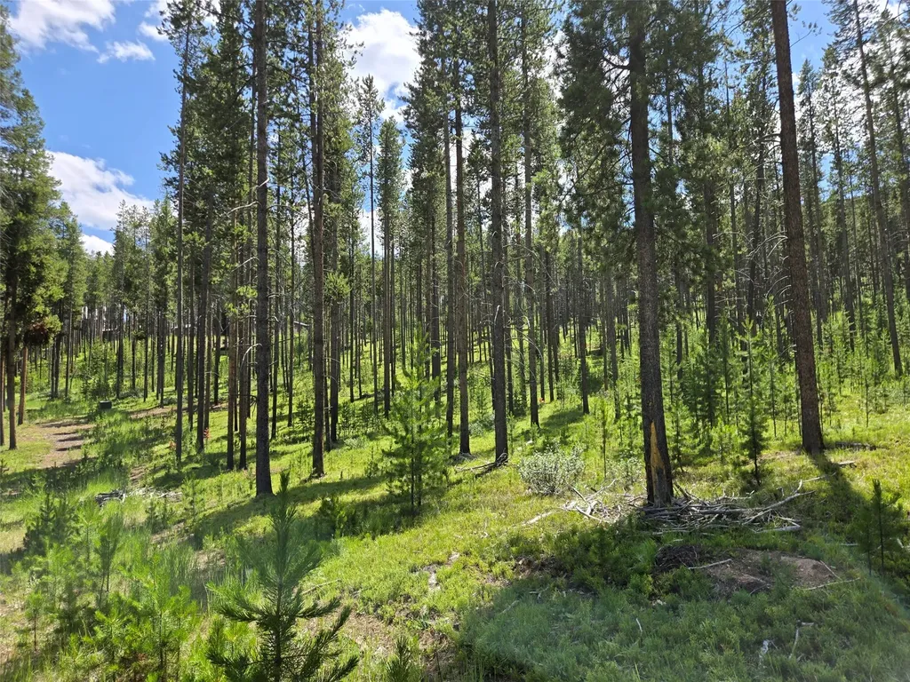 Lot 39 Shakopee Drive Anaconda MT 59711