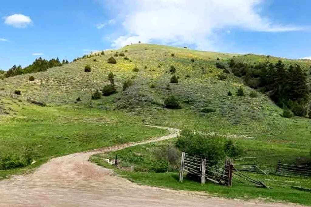 187 Edwards Gulch Road Drummond MT 59832