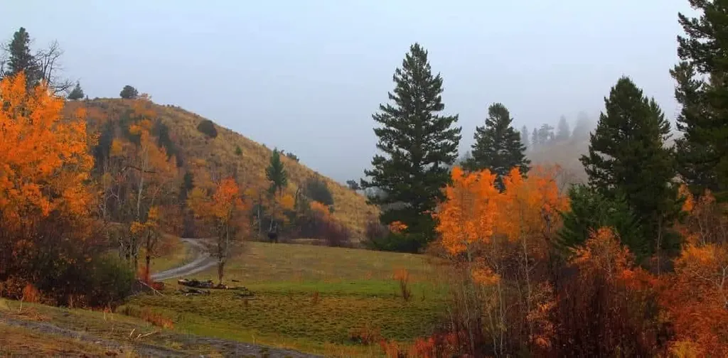 187 Edwards Gulch Road Drummond MT 59832