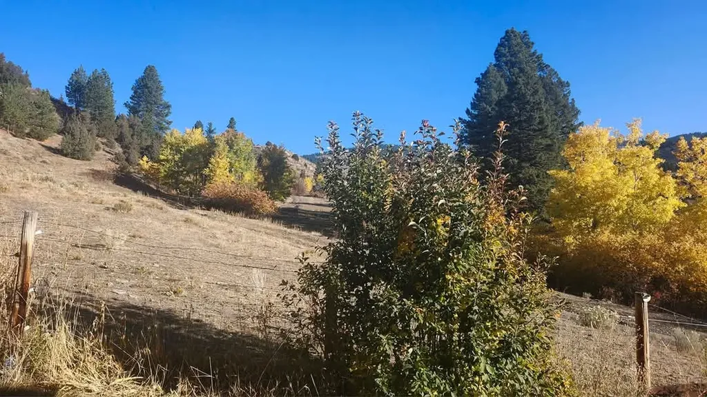 187 Edwards Gulch Road Drummond MT 59832