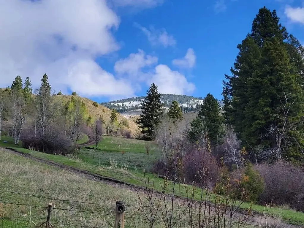 187 Edwards Gulch Road Drummond MT 59832
