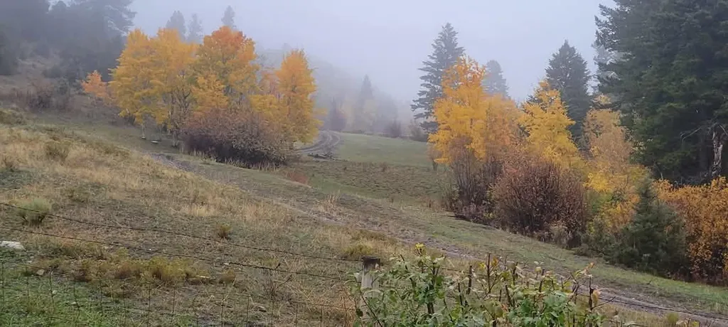 187 Edwards Gulch Road Drummond MT 59832