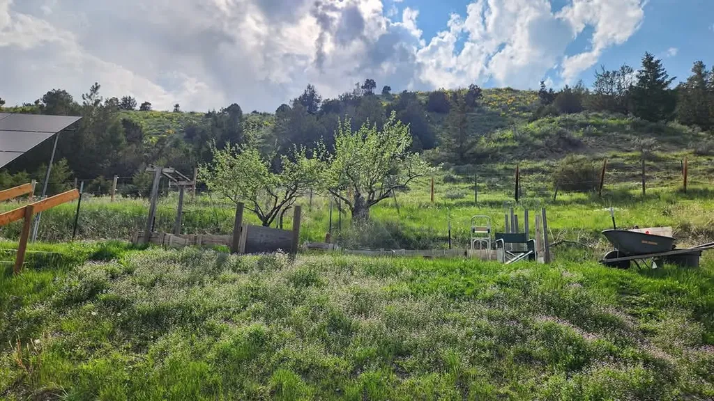187 Edwards Gulch Road Drummond MT 59832