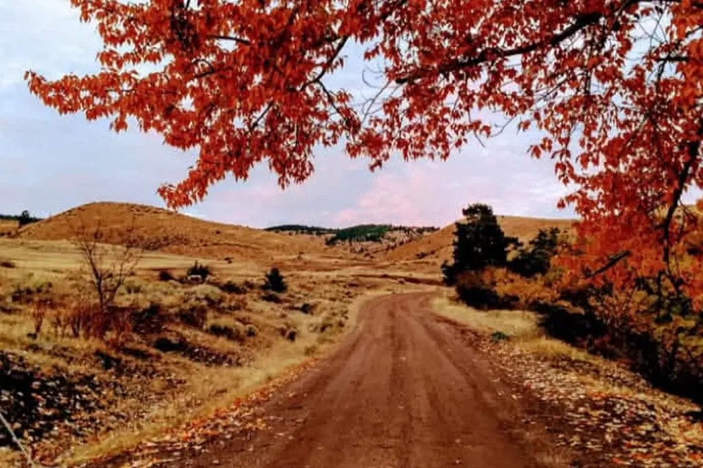 187 Edwards Gulch Road Drummond MT 59832