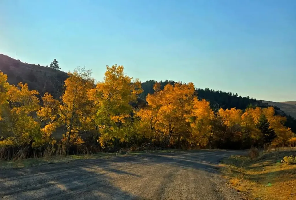 187 Edwards Gulch Road Drummond MT 59832
