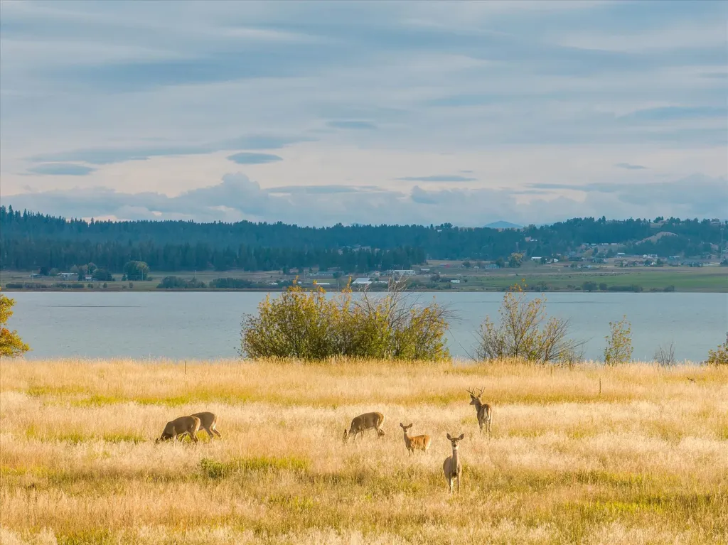 33899 Finley Point Road S Polson MT 59860