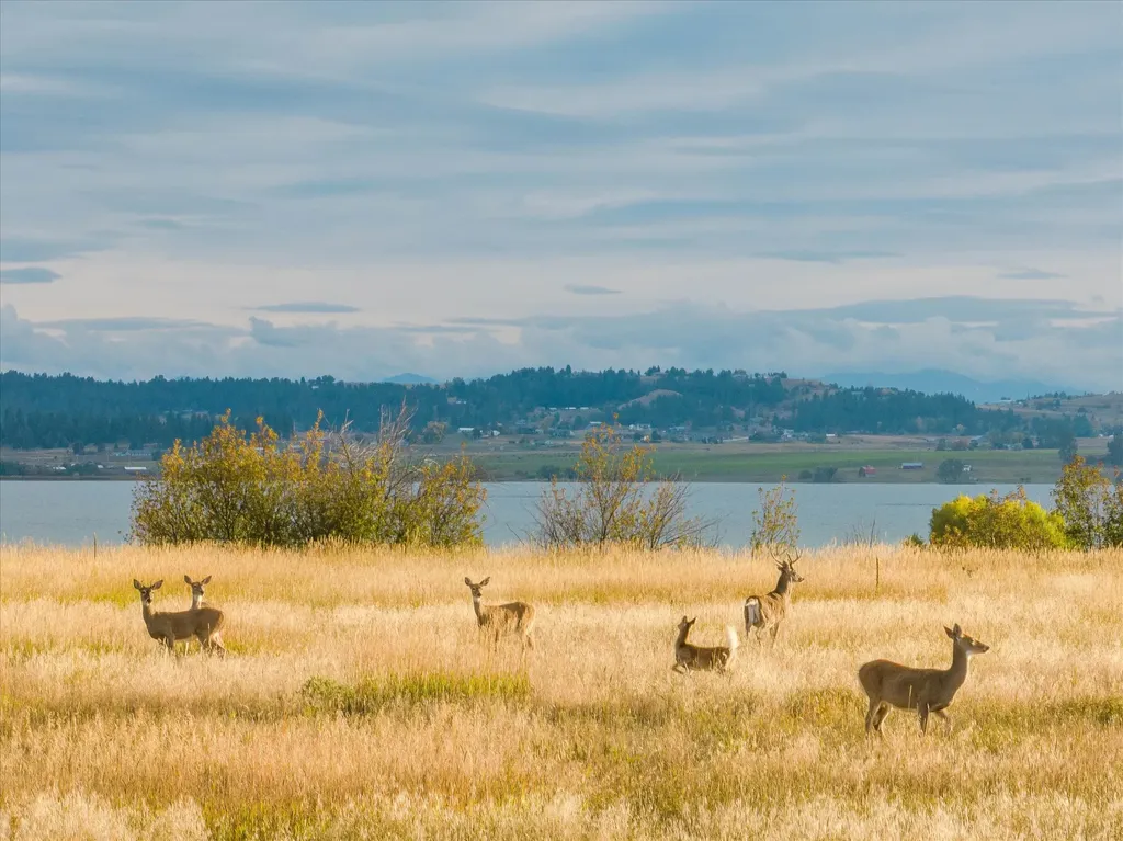 33899 Finley Point Road S Polson MT 59860