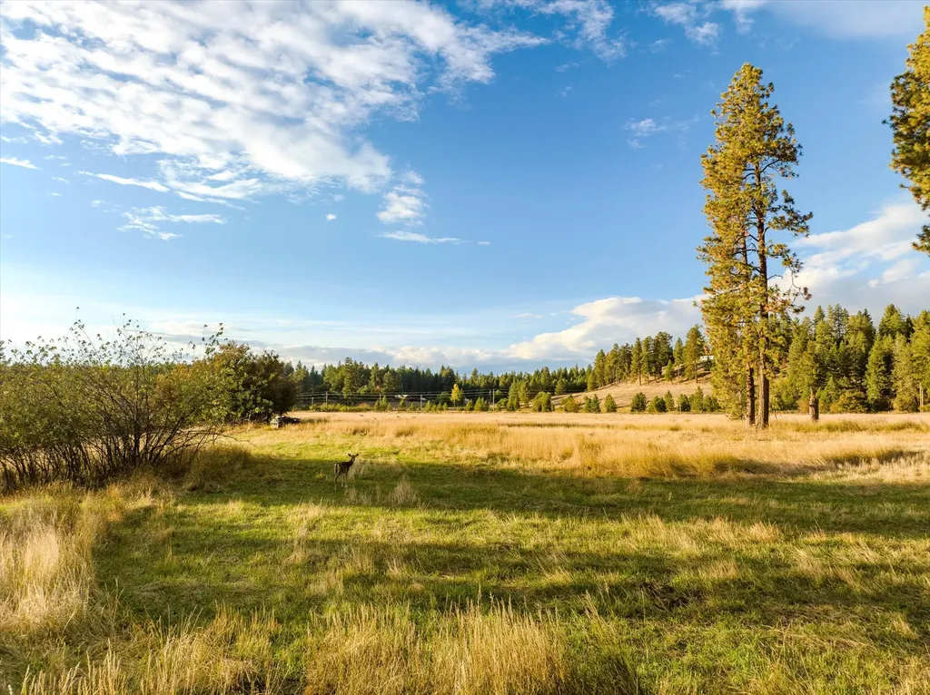 33899 Finley Point Road S Polson MT 59860