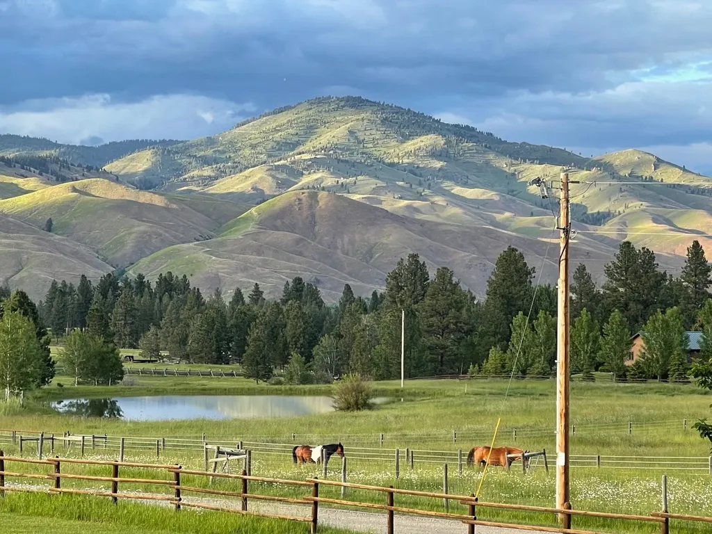 203 Hart Bench Road Darby MT 59829