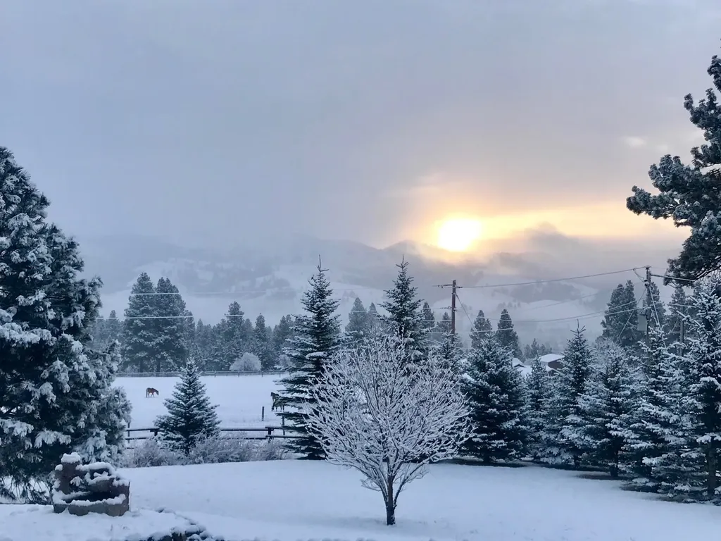 203 Hart Bench Road Darby MT 59829